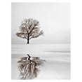 thumbnail image 1 of Masterpiece Art Gallery A Winter Tree Dream by Ilona Wellmann Canvas Photo Art Print 24" x 36", 1 of 2