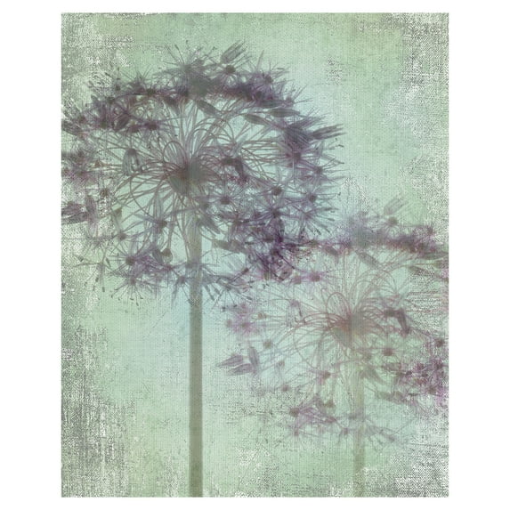 Masterpiece Art Gallery Allium Globe By Judy Stalus Canvas Art Print 16" x 20"