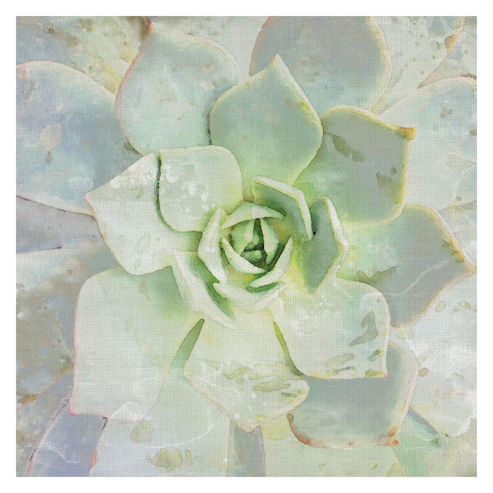 Large Green and Gray Succulent Canvas Art for Kids