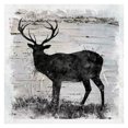 thumbnail image 1 of Masterpiece Art Gallery Birchbark Deer By Carol Robinson Canvas Art Print 30" x 30", 1 of 4