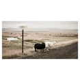 thumbnail image 1 of Masterpiece Art Gallery Black Sheep on the Roadside by Topich Canvas Art Print 24" x 48", 1 of 4