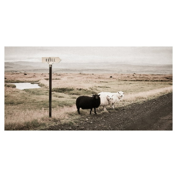 Masterpiece Art Gallery Black Sheep on the Roadside by Topich Canvas Art Print 24" x 48"