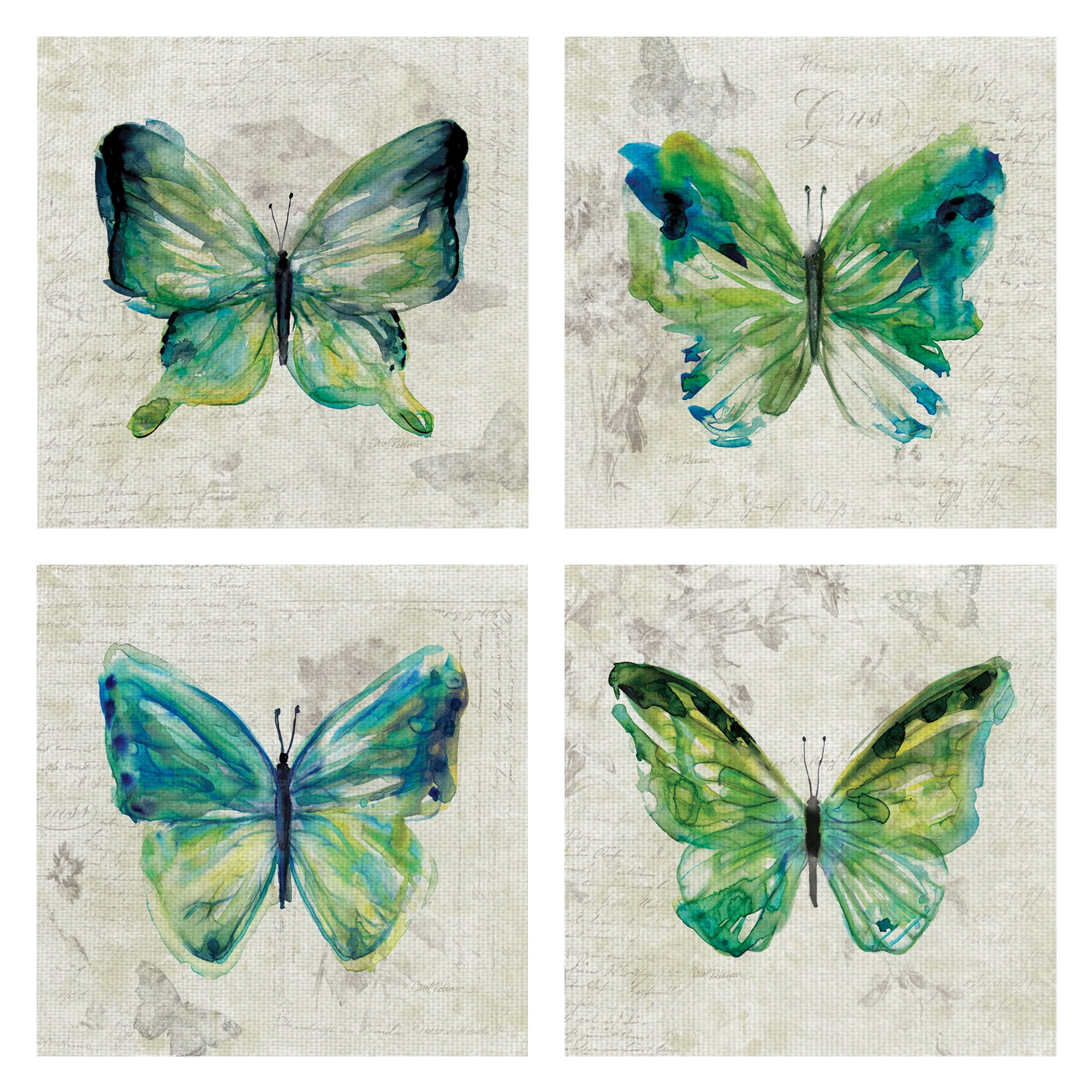 Masterpiece Art Gallery Butterfly Sketch I - IV By Carol Robinson