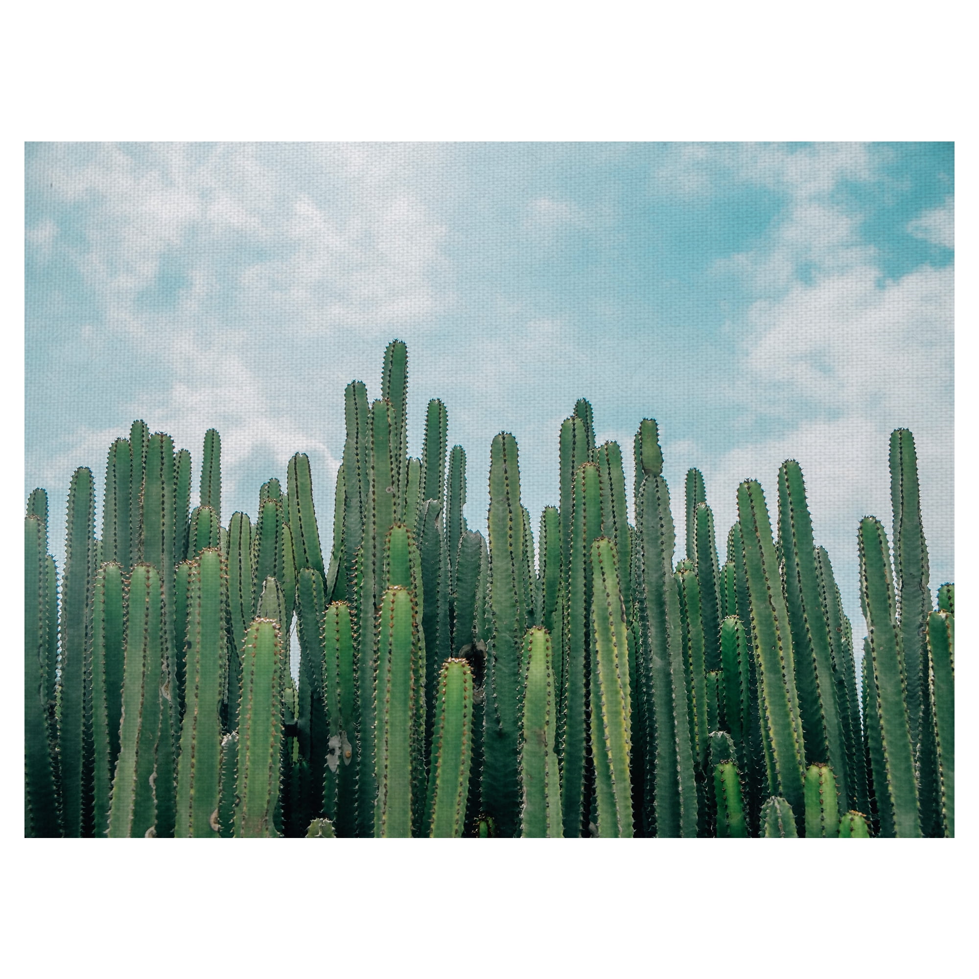 Masterpiece Art Gallery Cactus Greens Desert Sky By David Sola Canvas Art Print 30" x 40"