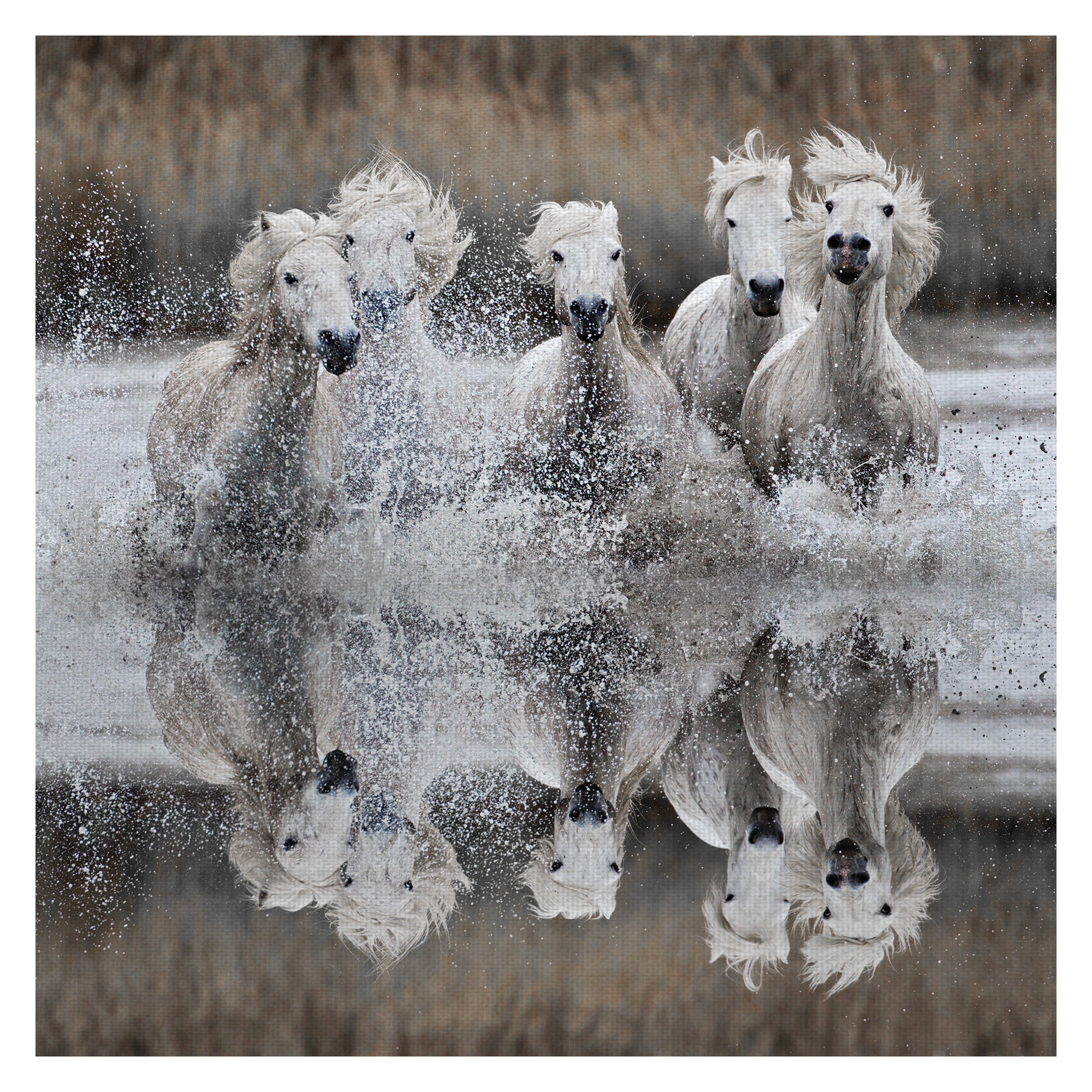 Masterpiece Art Gallery Camargue Horse Reflection by A. Jones Canvas Photo Art Print 35" x 35"