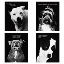 Masterpiece Art Gallery Compawssion by Frank Bruynbroek Black and White Canvas Photo Set of 4 (11" x 14")