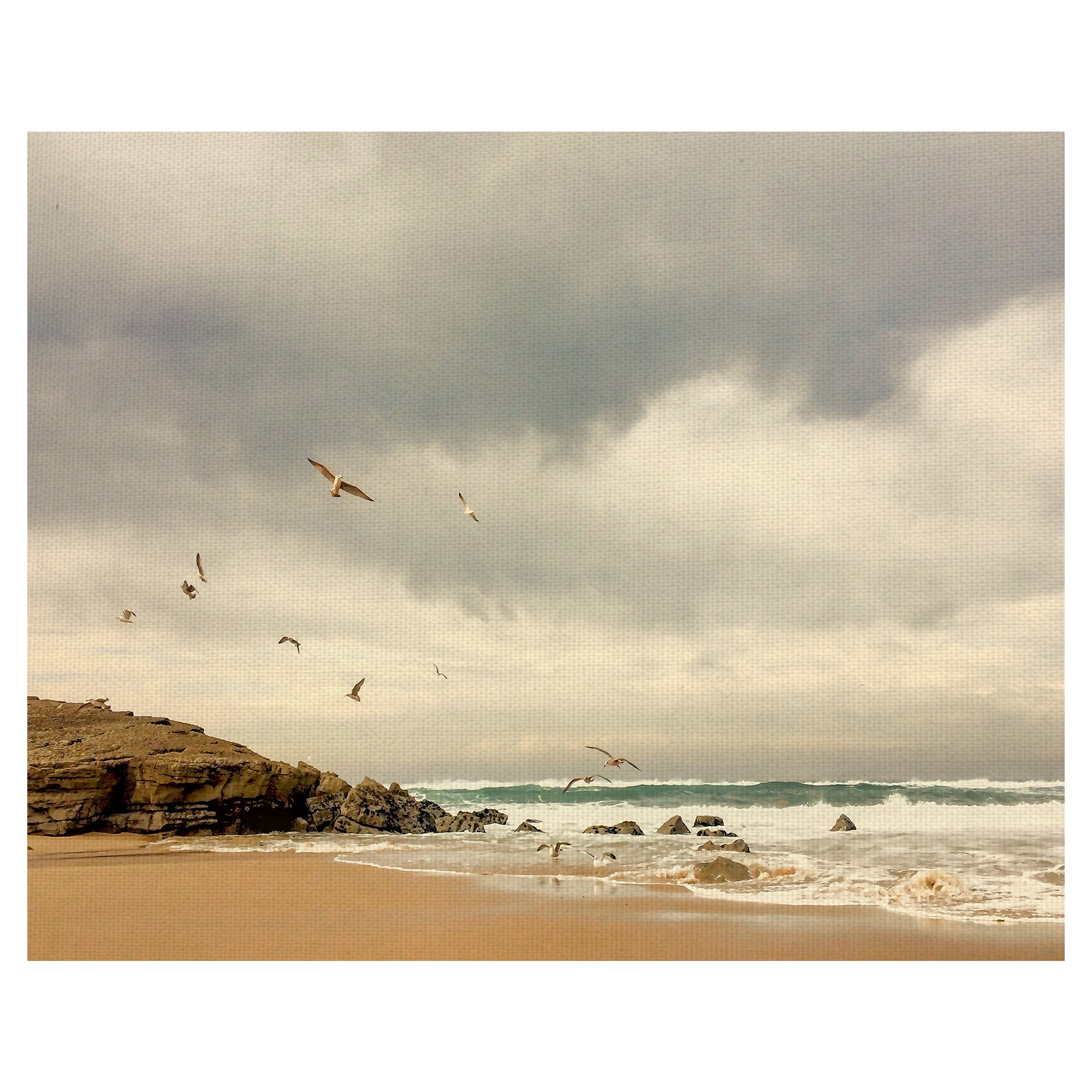 Art Gallery Dawn Beach Seagulls Canvas Print - Coastal Scene 22 x 28 ...