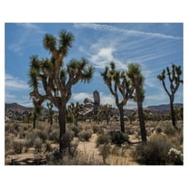 Masterpiece Art Gallery Desert Vista Trees By Owen Rupp Canvas Art Print 22" x 28"