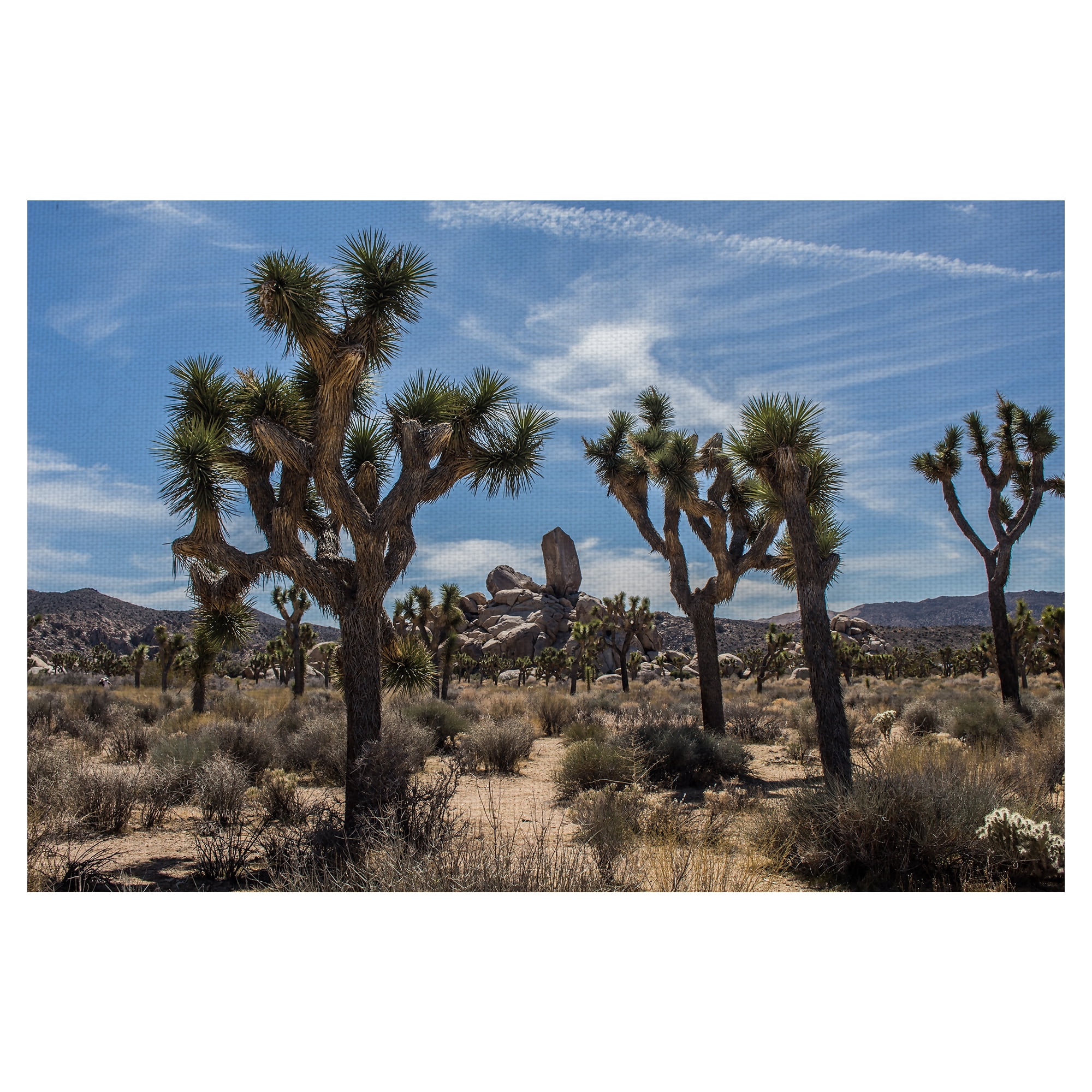 Masterpiece Art Gallery Desert Vista Trees By Owen Rupp Canvas Art Print 24" x 36"