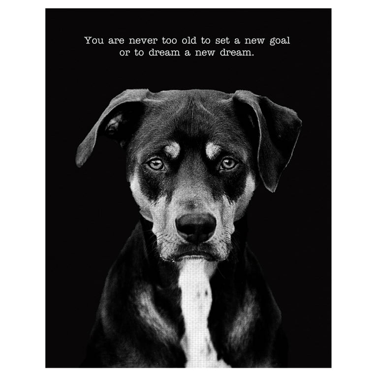 Masterpiece Art Gallery Dexter the Dog by Frank Bruynbroek Black