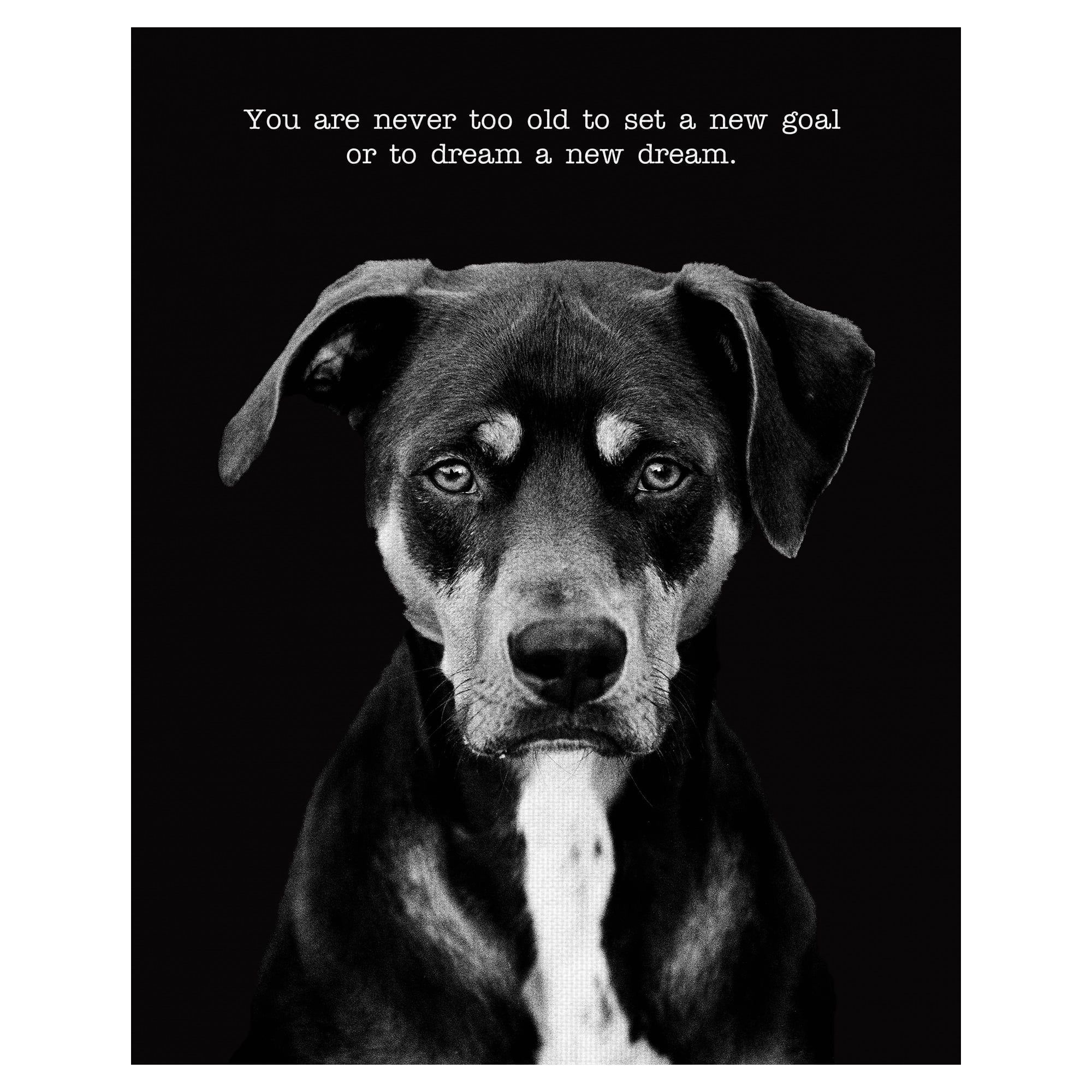 Masterpiece Art Gallery Dexter the Dog by Frank Bruynbroek Black