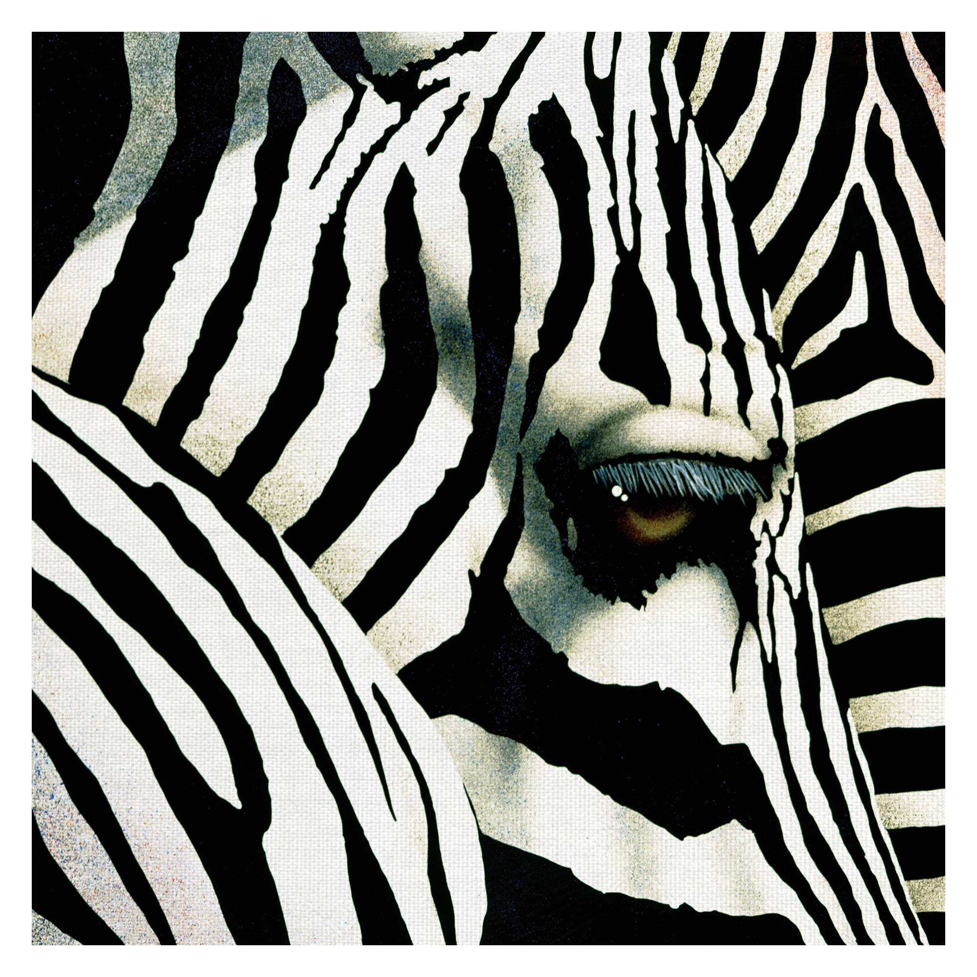 Masterpiece Art Gallery Do Zebras Dream in Color by Will Bullas Canvas Art Print 24" x 24"