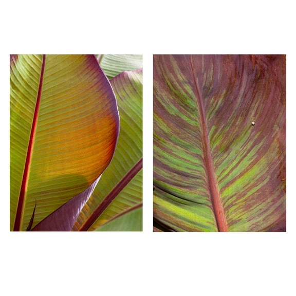 Masterpiece Art Gallery Fall Leaf Study II, IV by Robin Constable Hanson Floral Canvas Photo Art Print Set of 2 (18" x 24")