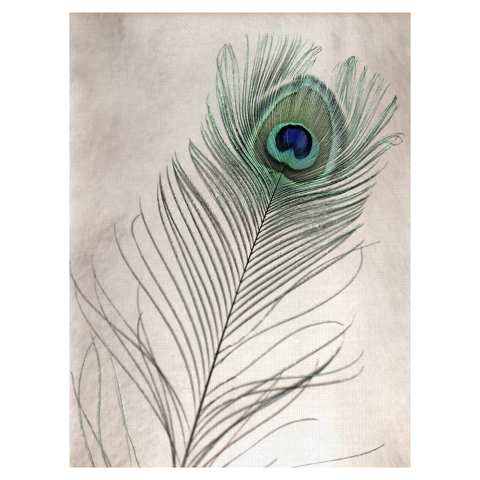Emerald and Indigo Peacock Feather Canvas Art Print 24" x 36"