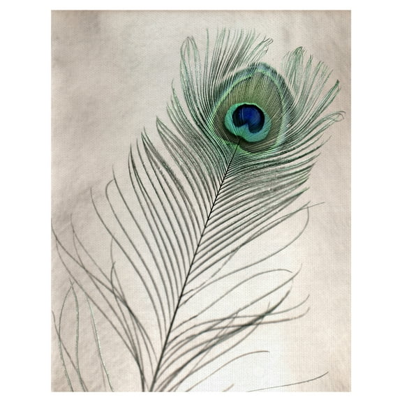 Masterpiece Art Gallery Feathers #11 Peacock By Alan Blaustein Canvas Art Print 22" x 28"