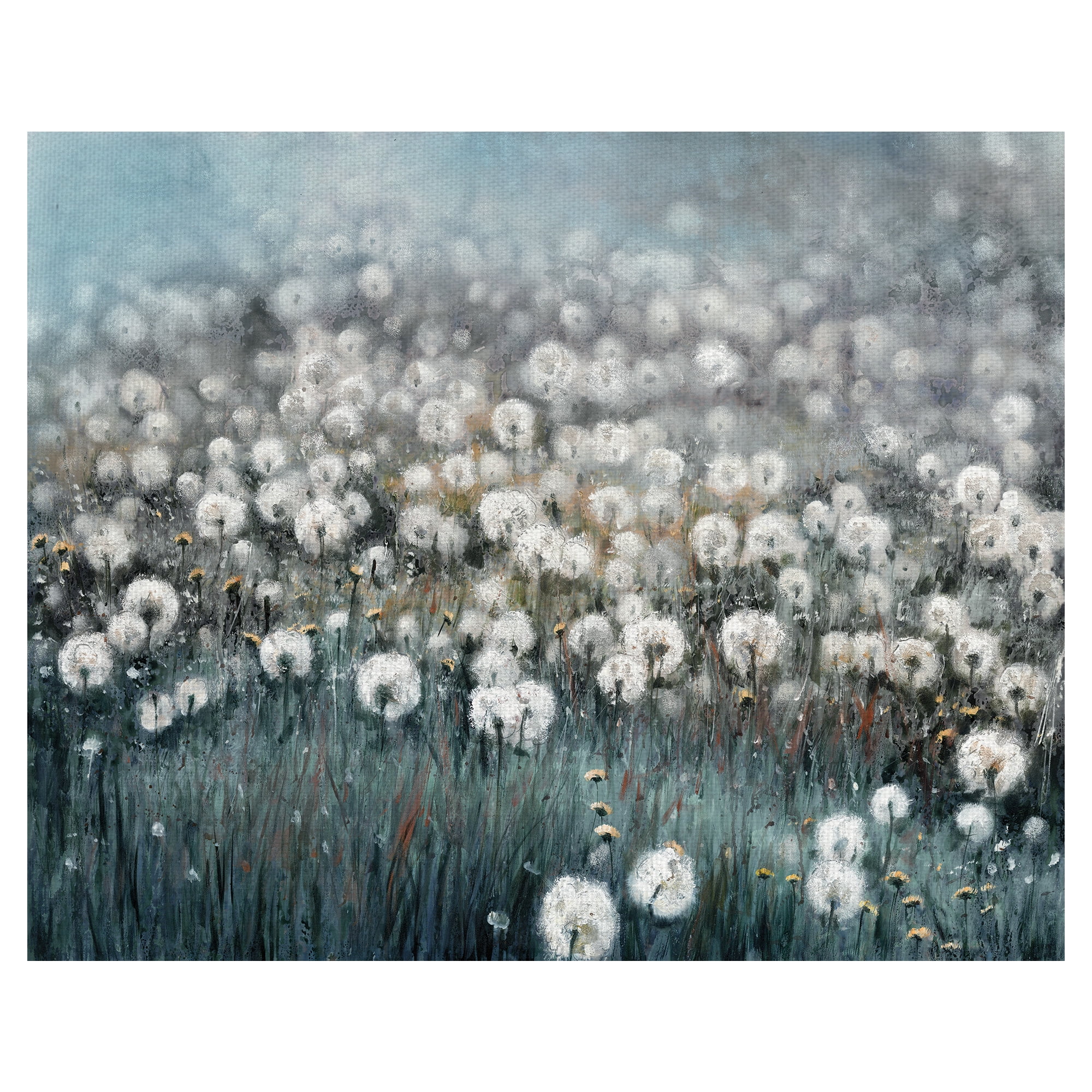 Masterpiece Art Gallery Field Of Dreams Dandelions By Sandy Doonan Canvas Art Print 22" x 28"
