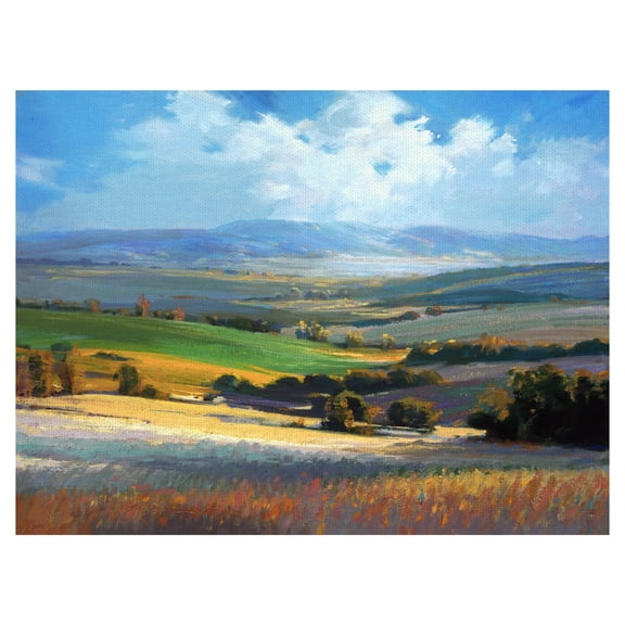 Masterpiece Art Gallery Fields Nature Landscape By Ashley David Canvas Art Print 30" x 40"