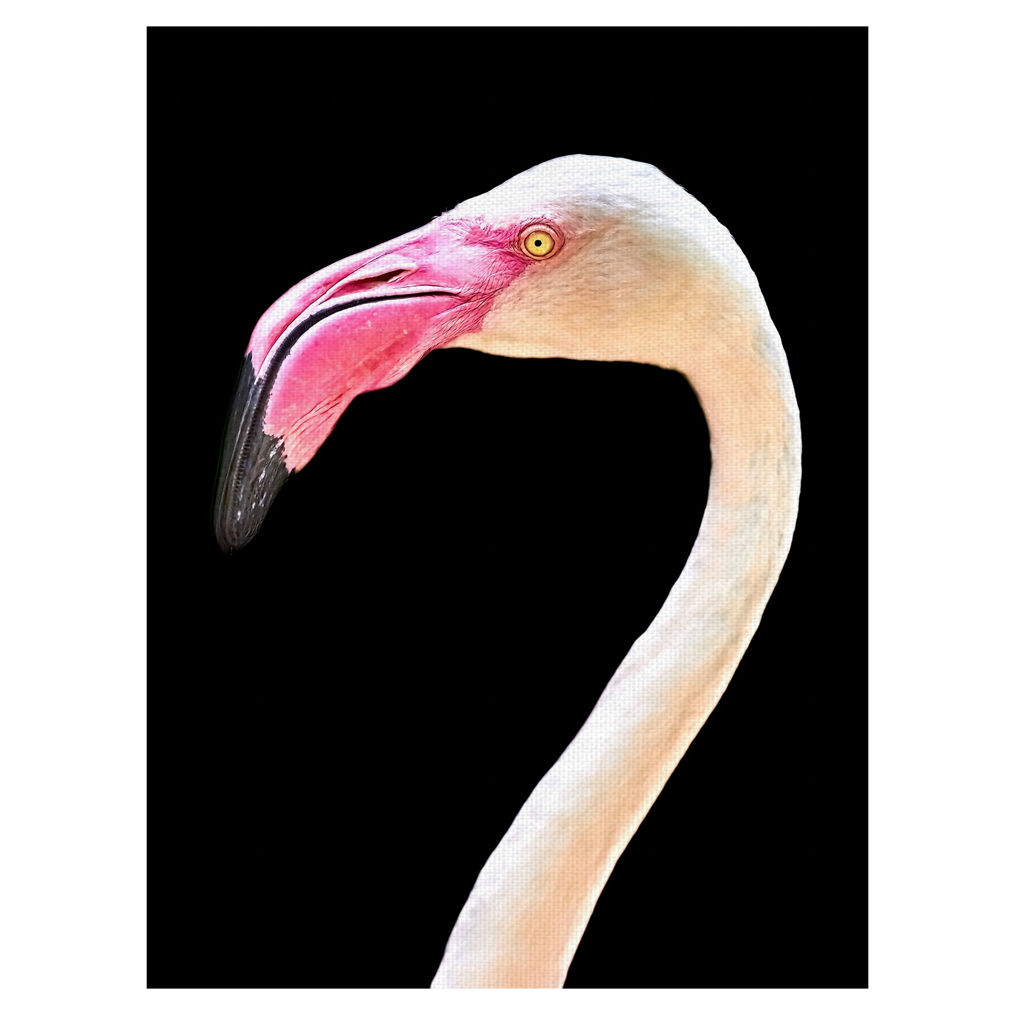 絵画 Picture Touched Flamingo Meeting 120x90 Kare Design Picture Touched Flamingo Meeting, Pink/Red