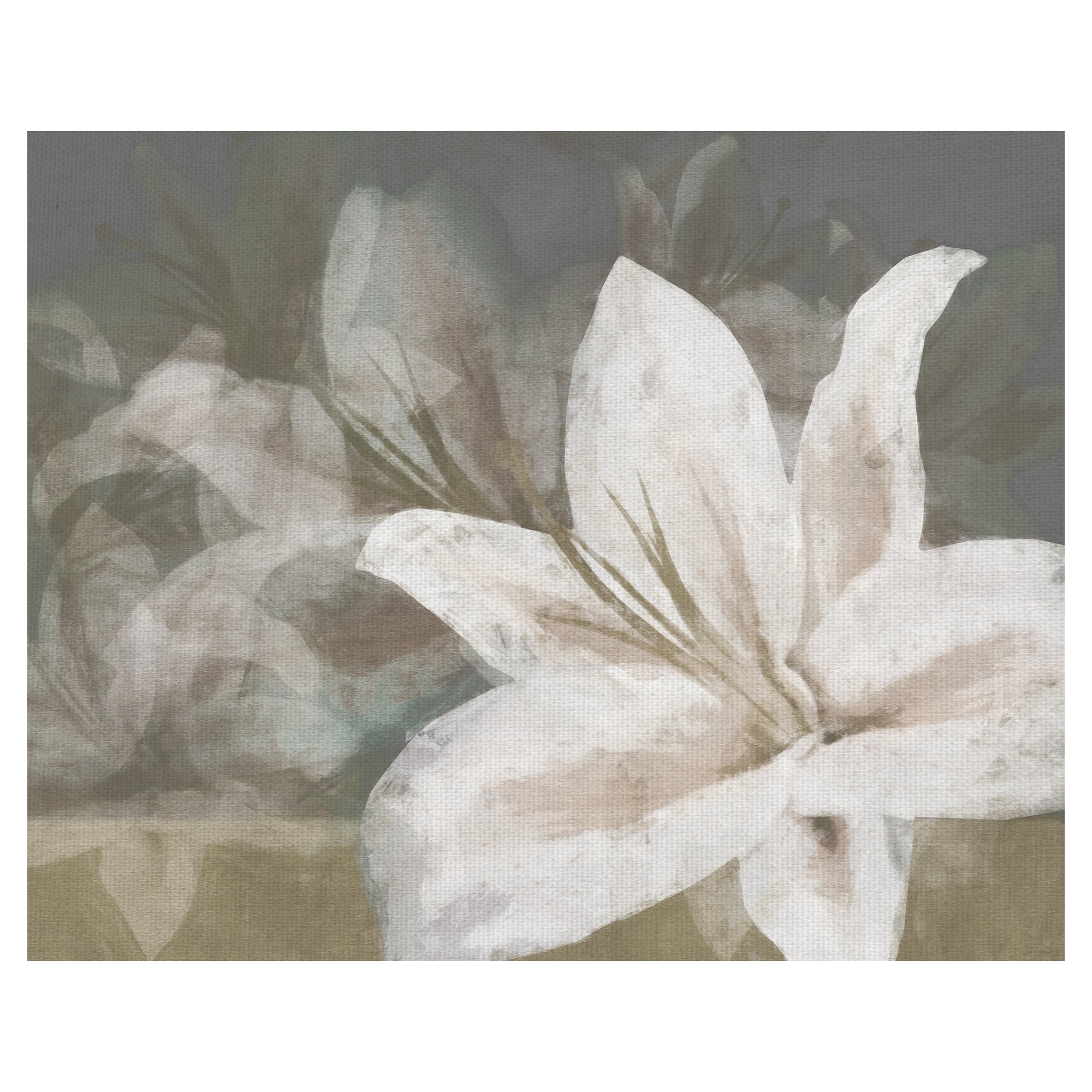 Masterpiece Art Gallery Floating Flowers Natural Lillies By Noah Bay Canvas Art Print 16" x 20"