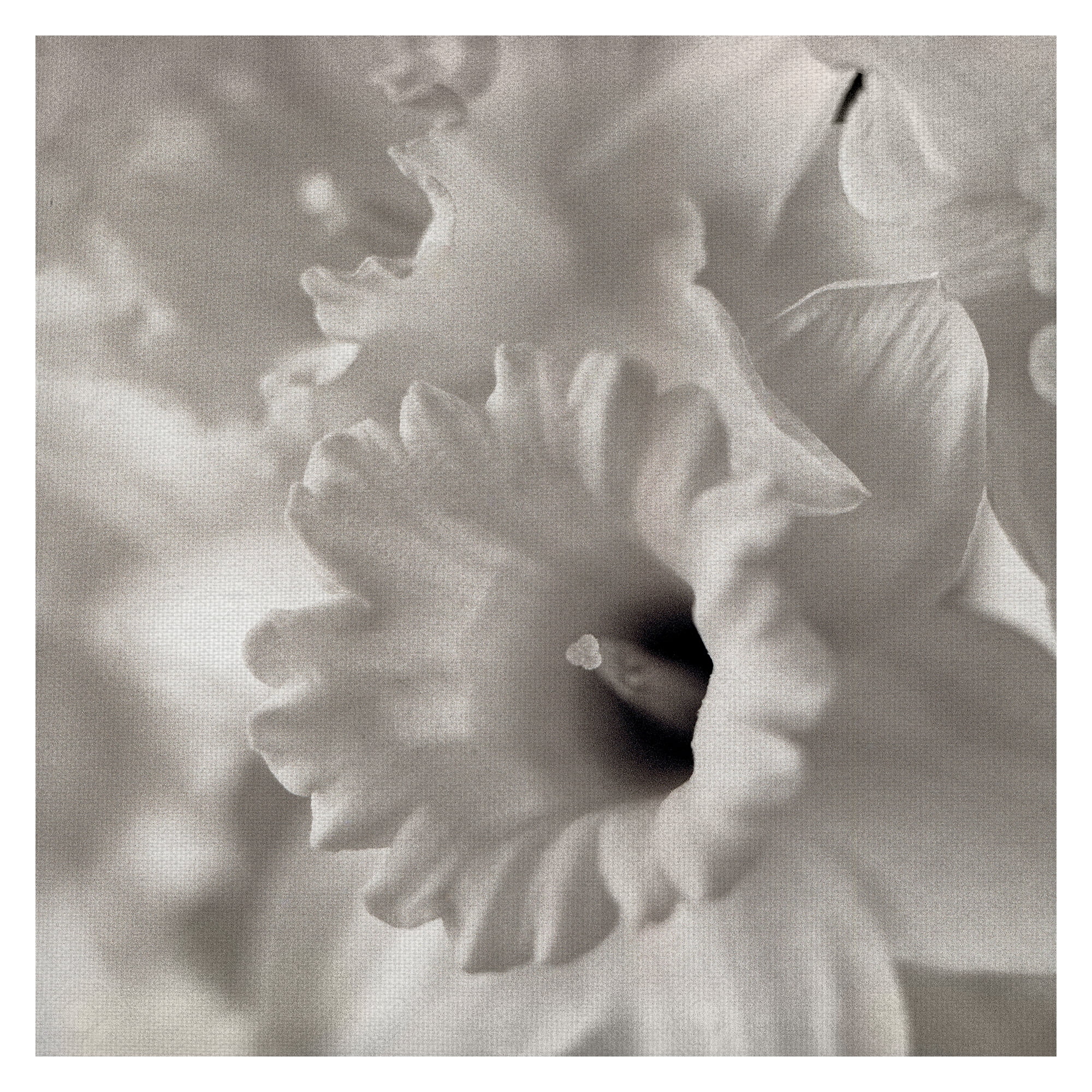 Floral White Canvas Art Print for Kids, 24" x 24"