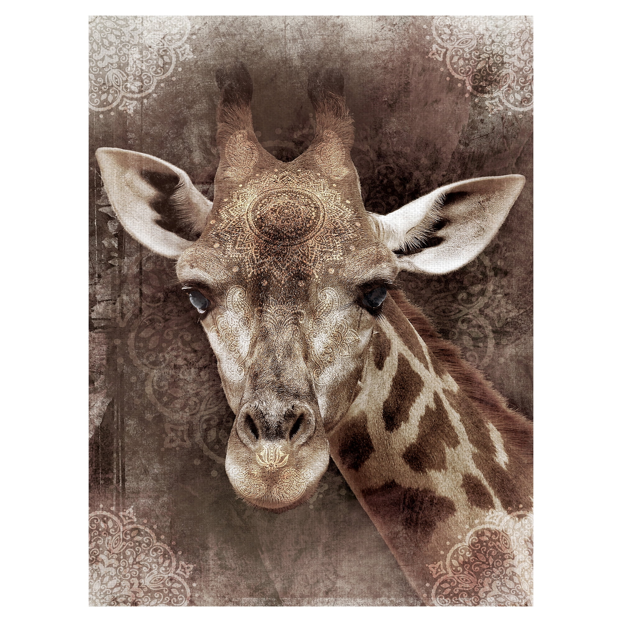 Masterpiece Art Gallery Global Giraffe I by Belle Maison Canvas Art Print 30" x 40"