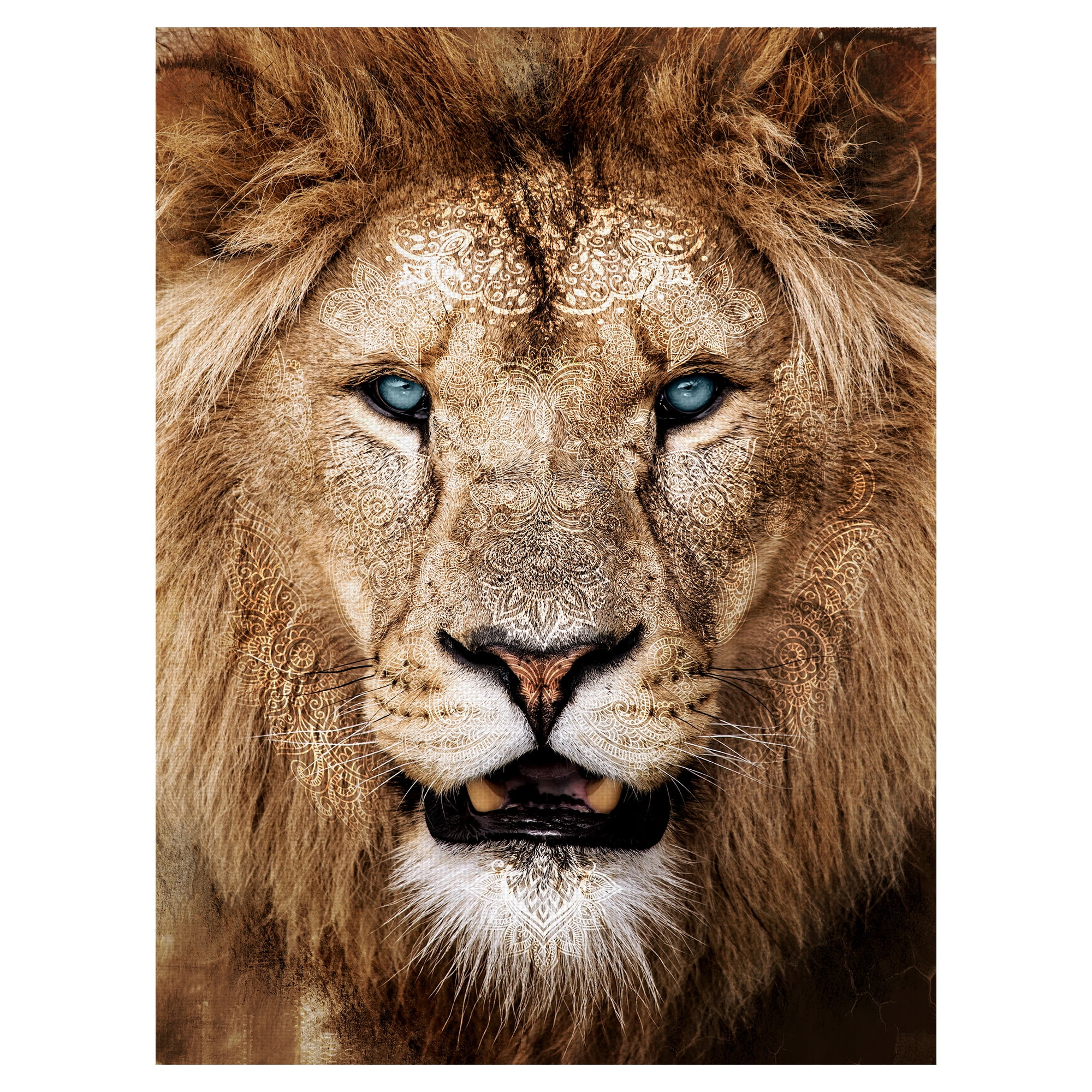 Masterpiece Art Gallery Global Lion I By Belle Maison Canvas Art Print 30" x 40"