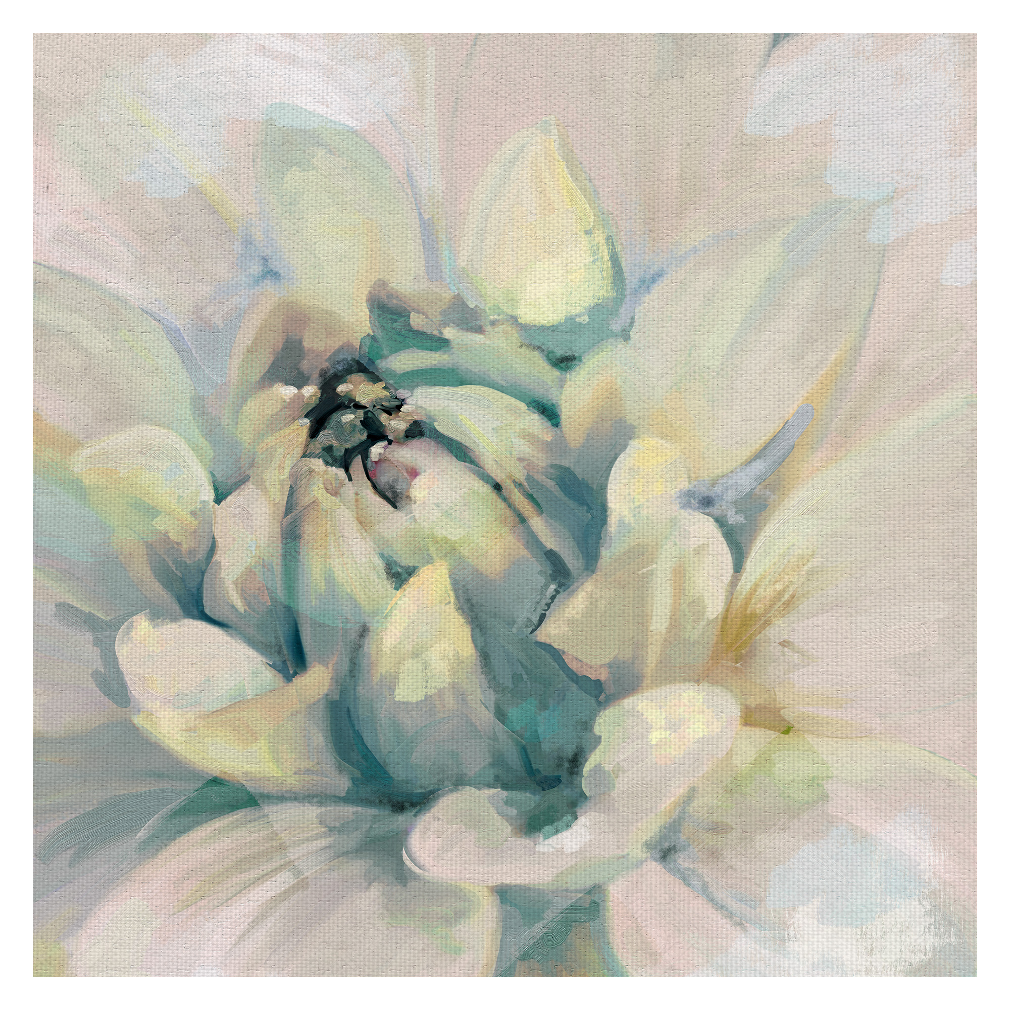 Masterpiece Art Gallery Glorious Blooms I Bright Square White Flowers By Studio Arts Canvas Art Print 30" x 30"