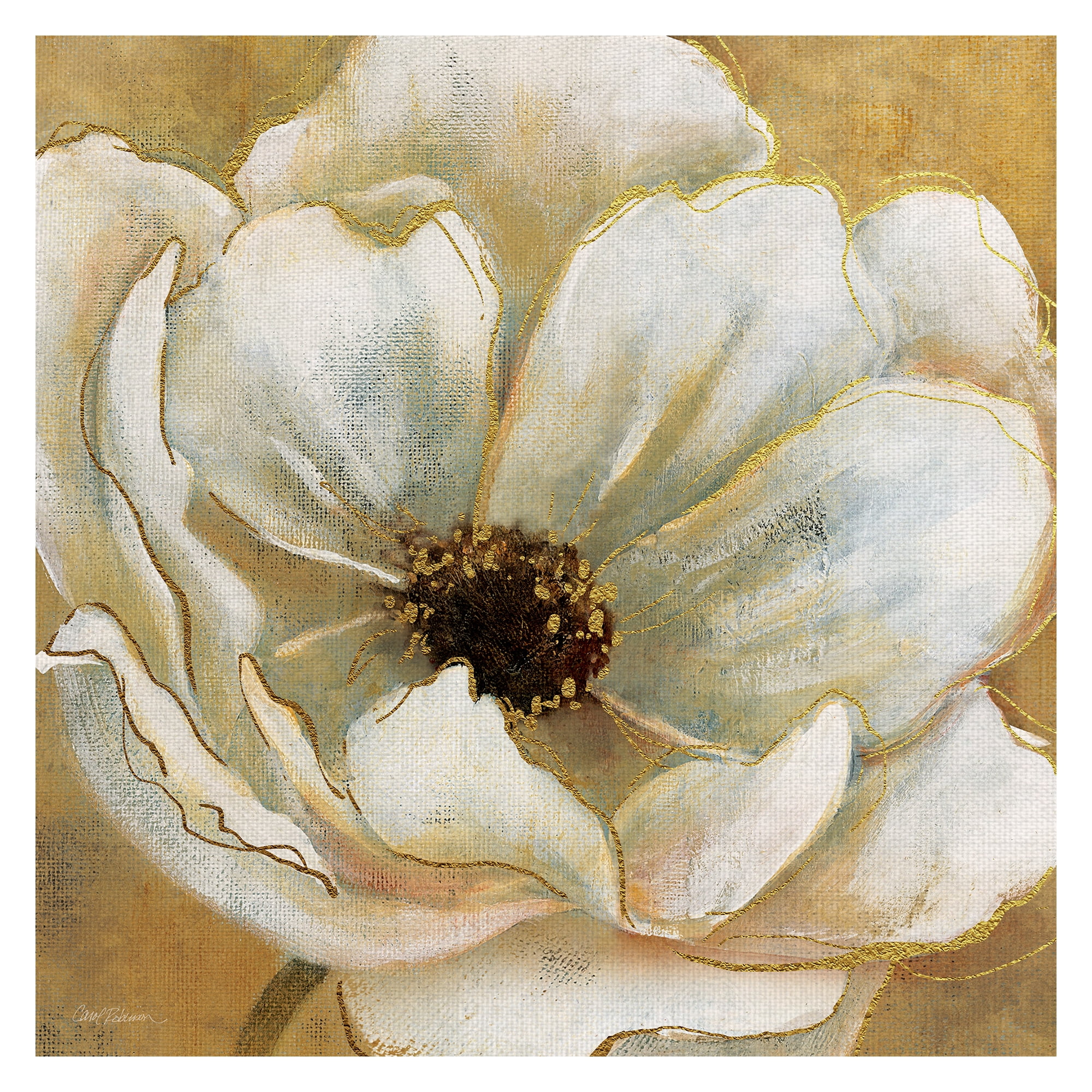 Golden Splendor Anemone Canvas Art Print for Kids