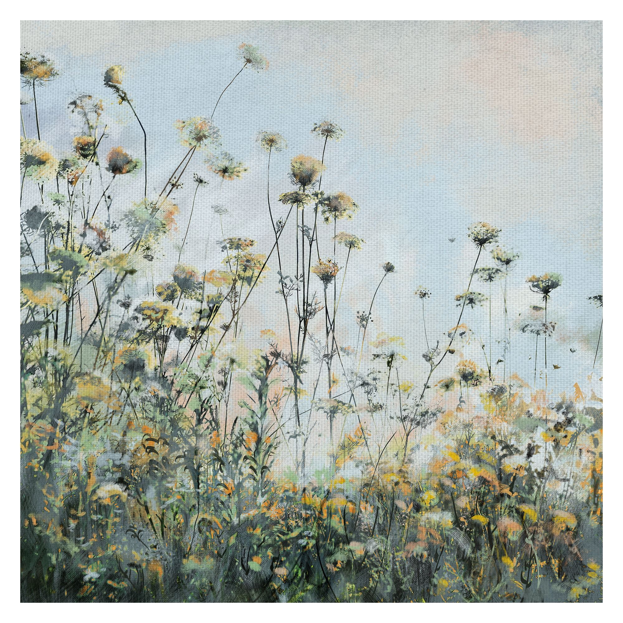 Masterpiece Art Gallery Growing Wild Flowers By Studio Arts Canvas Art Print 30" x 30"