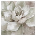 thumbnail image 1 of Masterpiece Art Gallery Haze Summer Succulent White By Nan Canvas Art Print 24" x 24", 1 of 4