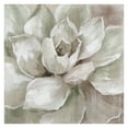 thumbnail image 1 of Masterpiece Art Gallery Haze Summer Succulent White By Nan Canvas Art Print 30" x 30", 1 of 4