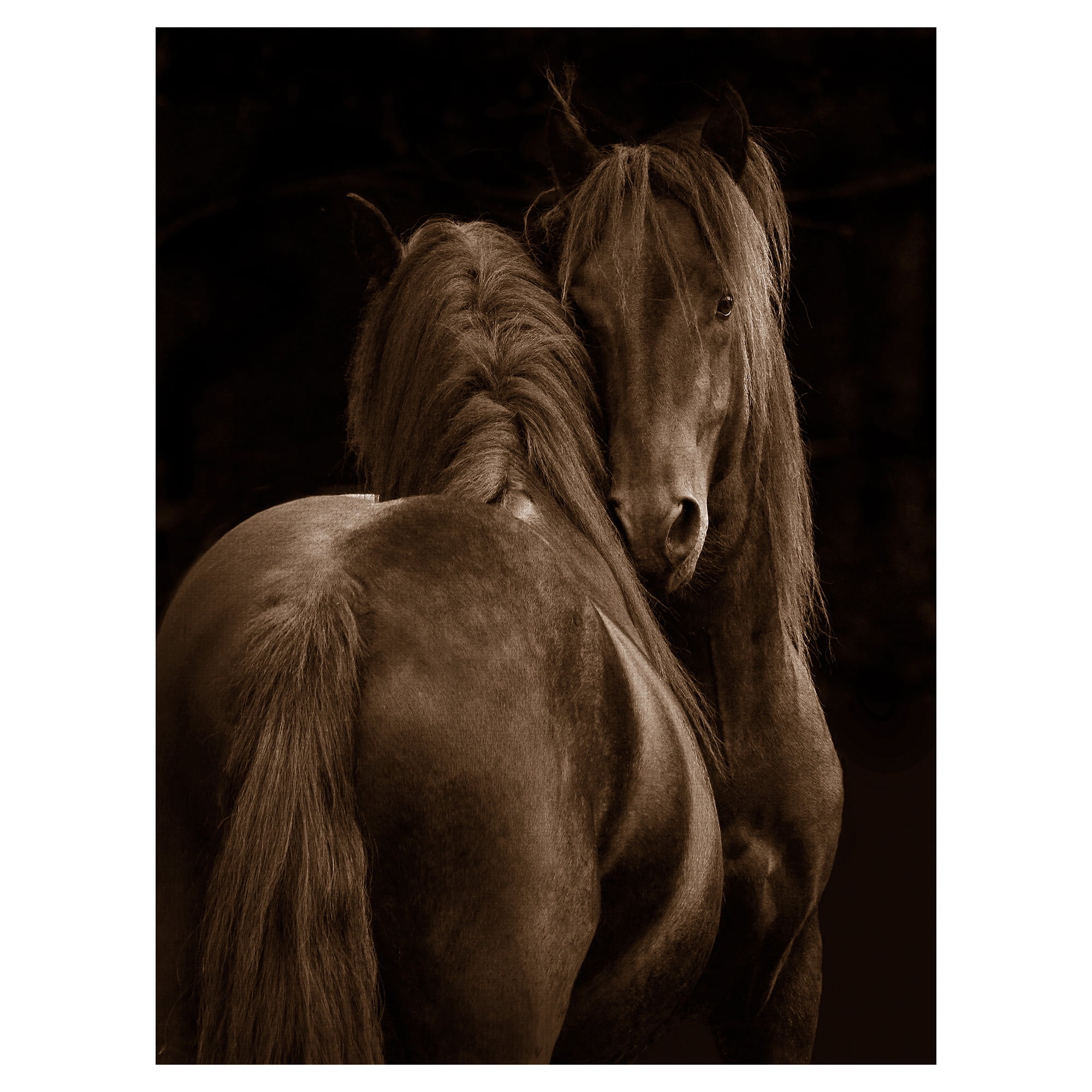 Masterpiece Art Gallery Horse Loving Tenderness by Tony Stromberg Canvas Photo Art Print 30" x 40"