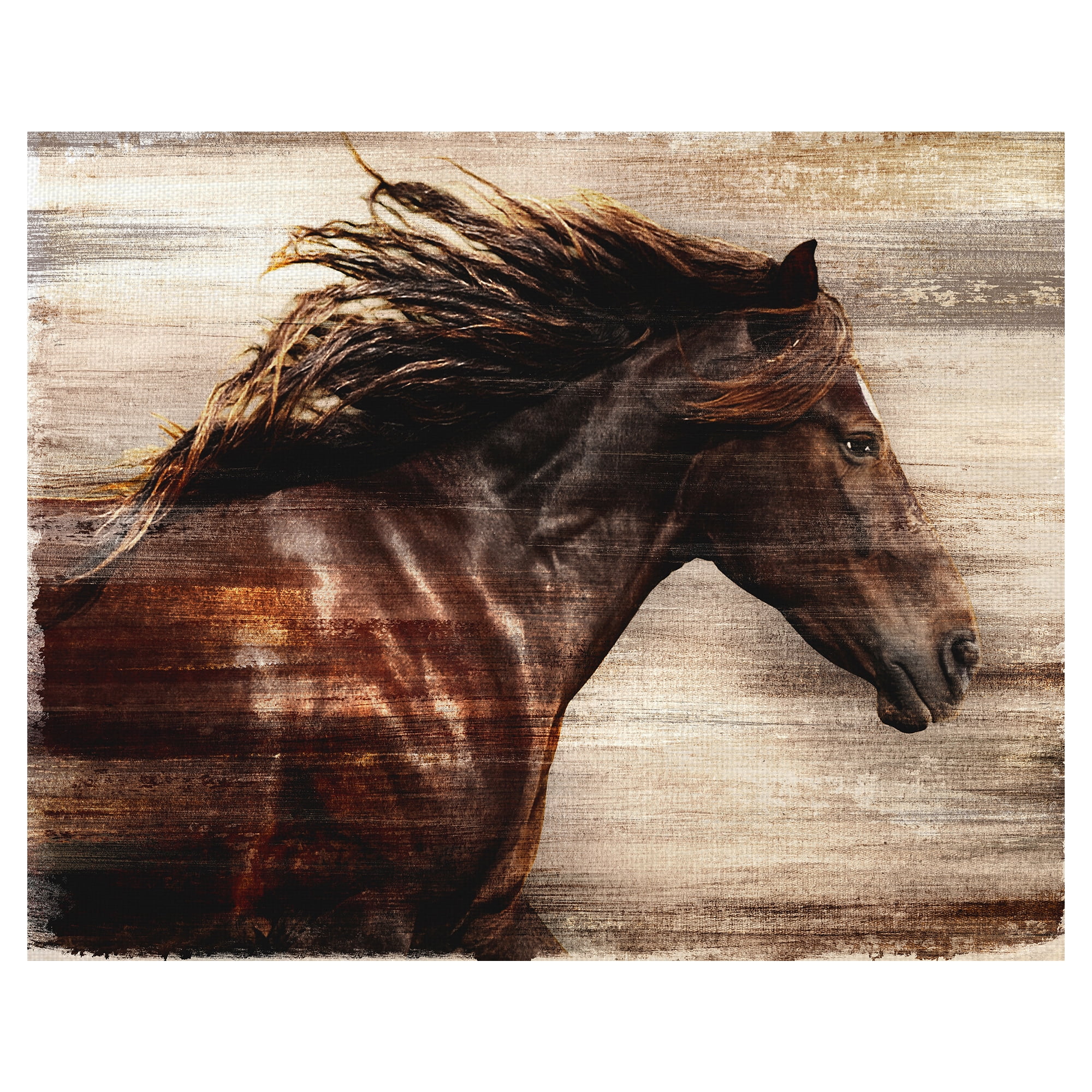 Masterpiece Art Gallery Horse in Majestic Motion by Belle Maison Canvas Art Print 22" x 28"