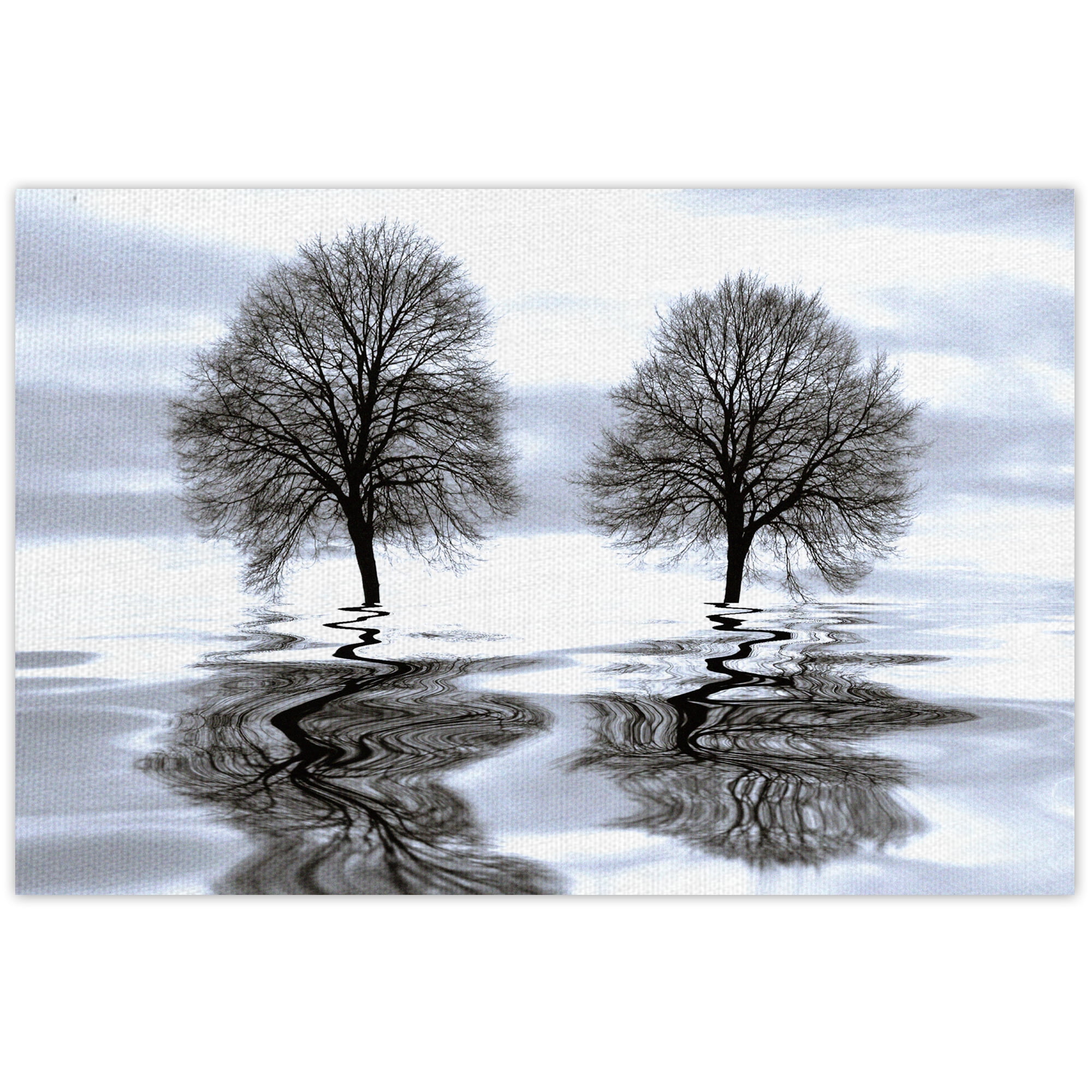 Masterpiece Art Gallery Imagine Tree Reflection by Ilona Wellmann Canvas Photo Art Print 16" x 20"