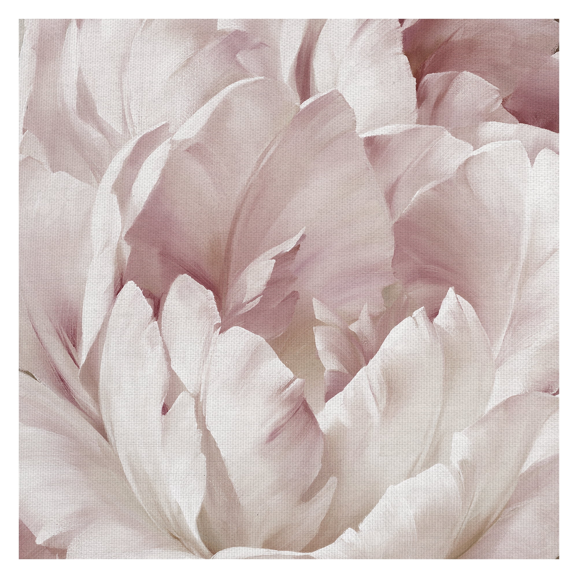 Masterpiece Art Gallery Intimate Blush III Rose Petals By Igor Levashov Canvas Art Print 24" x 24"