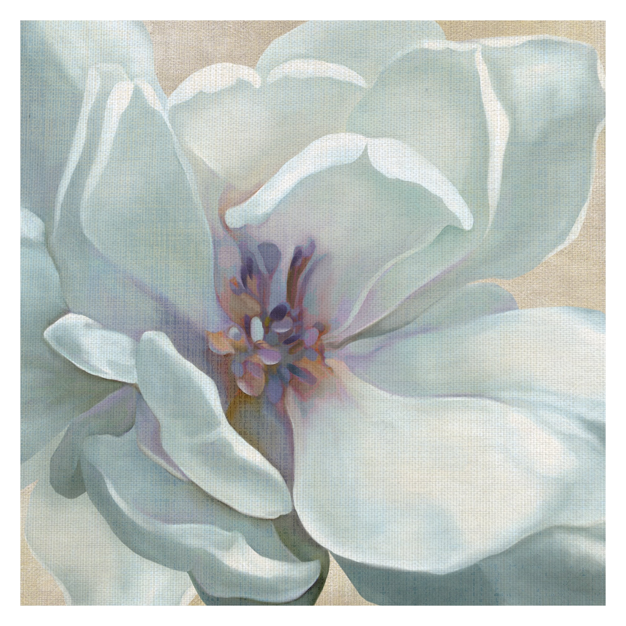 Masterpiece Art Gallery Iridescent Bloom I White Flower By Carol Robinson Canvas Art Print 24" x 24"