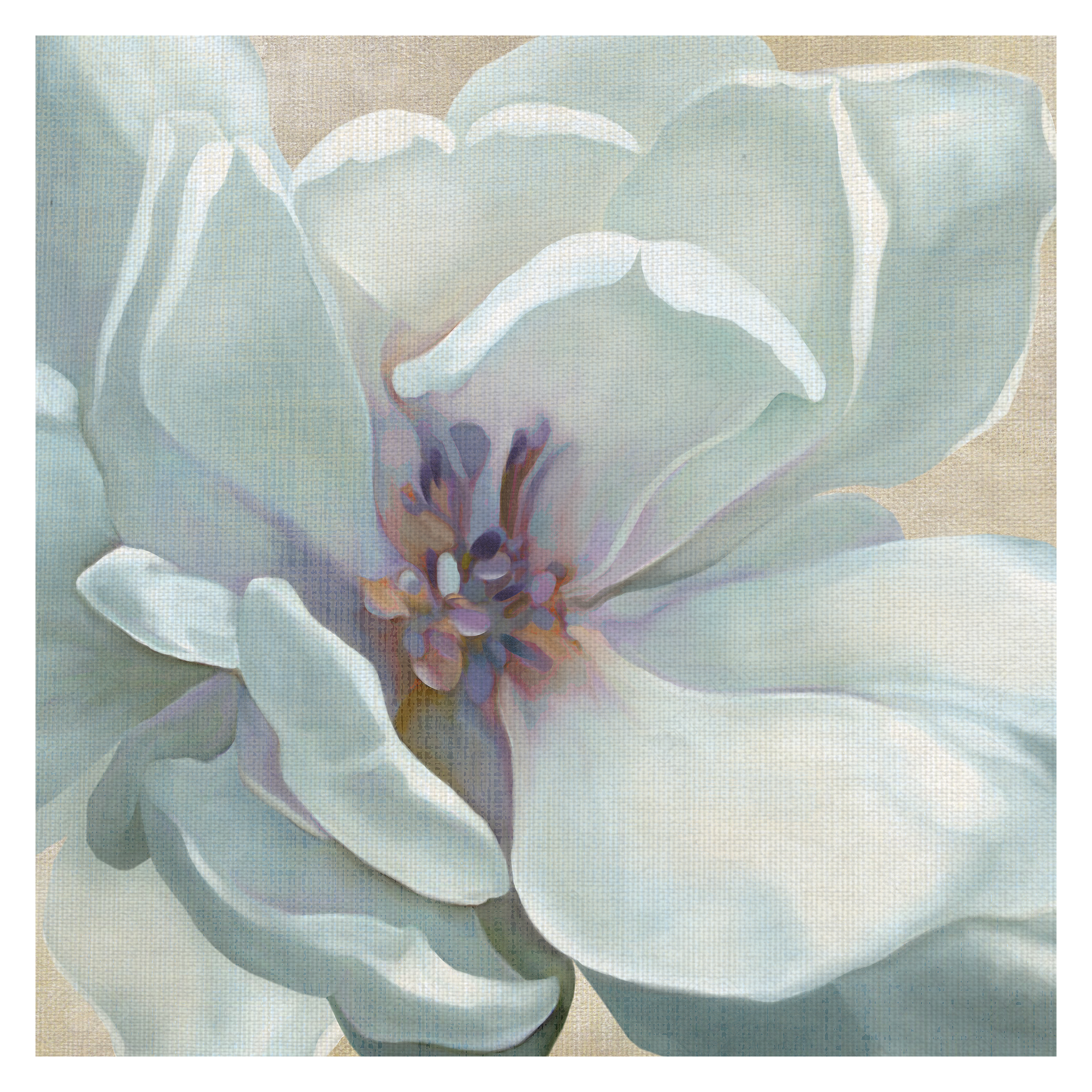 Masterpiece Art Gallery Iridescent Bloom I White Flower By Carol Robinson Canvas Art Print 30" x 30"