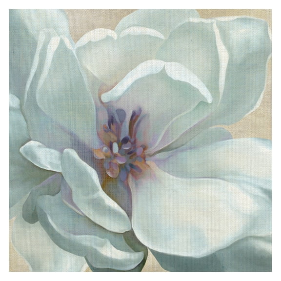 Masterpiece Art Gallery Iridescent Bloom I White Flower By Carol Robinson Canvas Art Print 35" x 35"