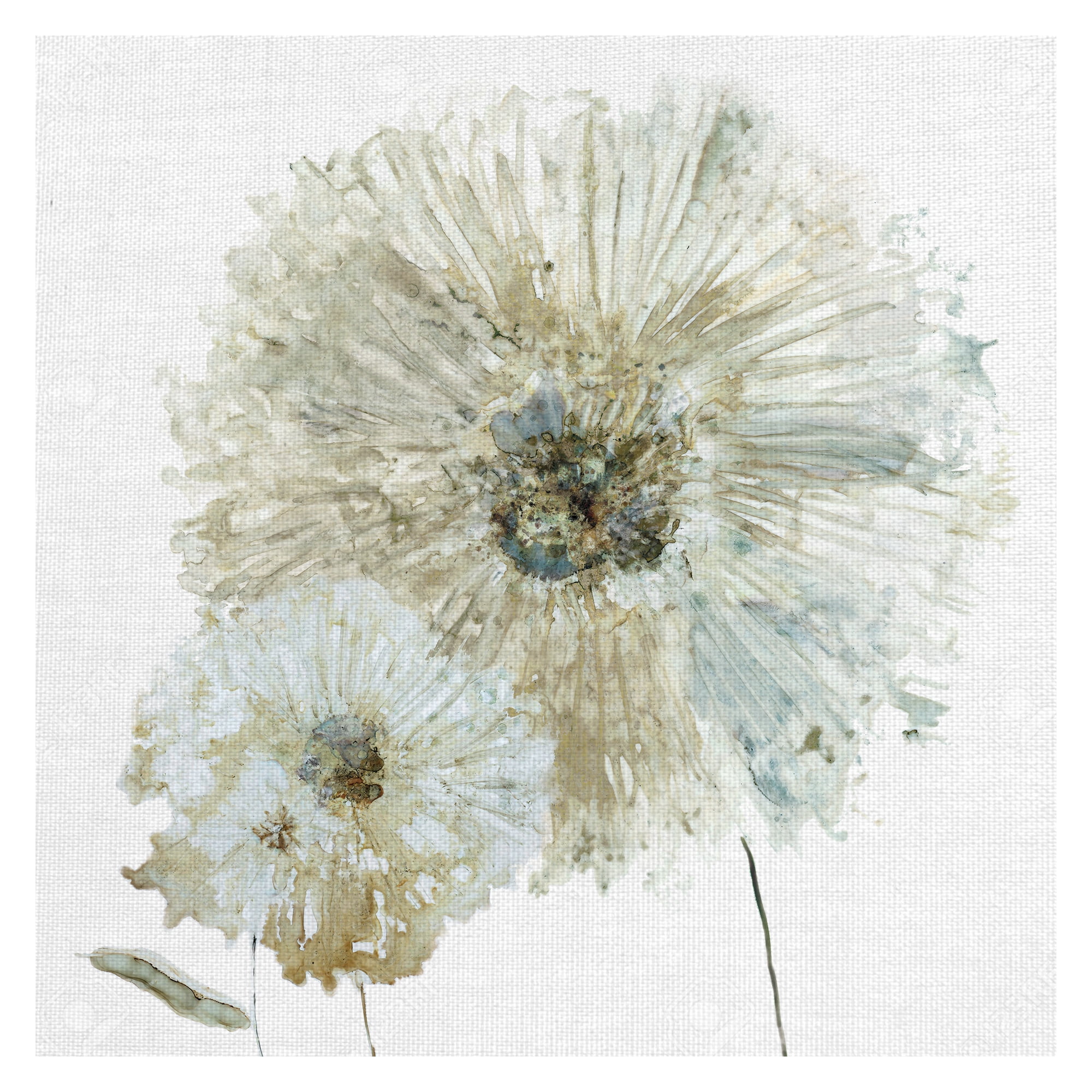Masterpiece Art Gallery Ivory Spring I Flower By Carol Robinson Canvas Art Print 24" x 24"