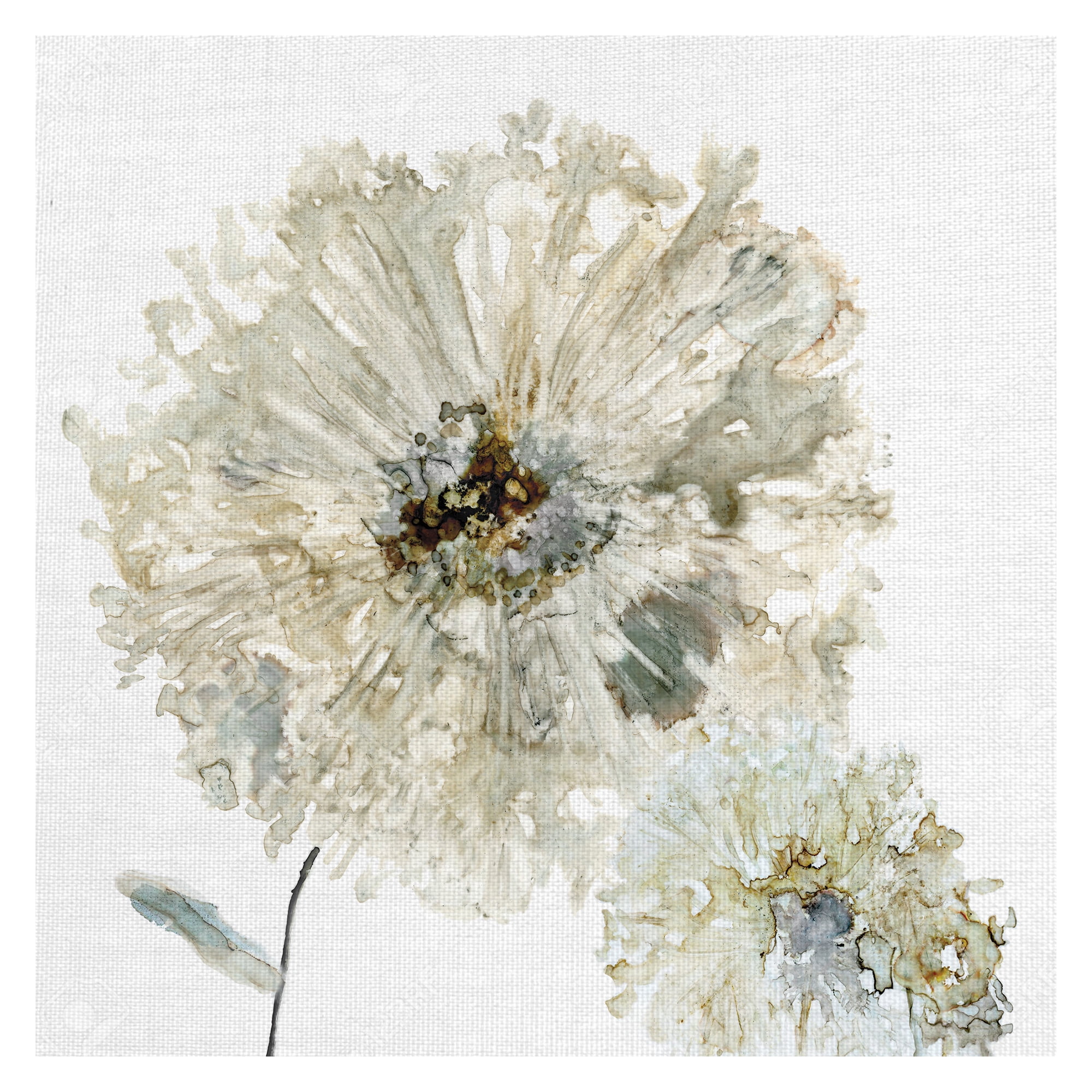 Masterpiece Art Gallery Ivory Spring II Flower by Carol Robinson Canvas Art Print 30" x 30"