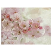 Masterpiece Art Gallery Japanese Cherry Tree Blossom By Studio Arts Canvas Art Print 30" x 40"