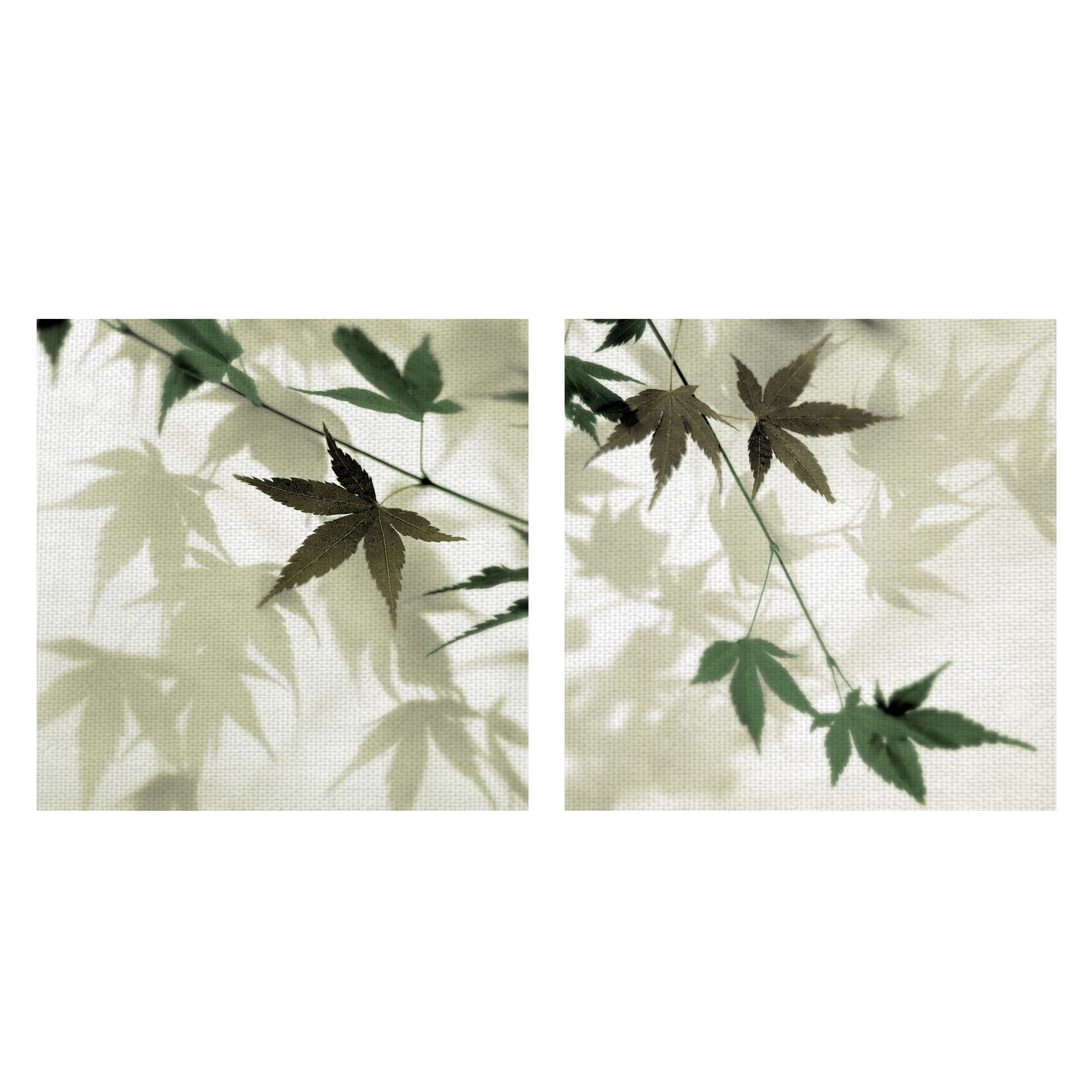Masterpiece Art Gallery Japanese Maple Leaves #1 & #2 by Alan Blaustein Canvas Photo Art Print (16" x 16")