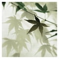 thumbnail image 1 of Masterpiece Art Gallery Japanese Maple Leaves #1 by Alan Blaustein Canvas Art Print 30" x 30", 1 of 4
