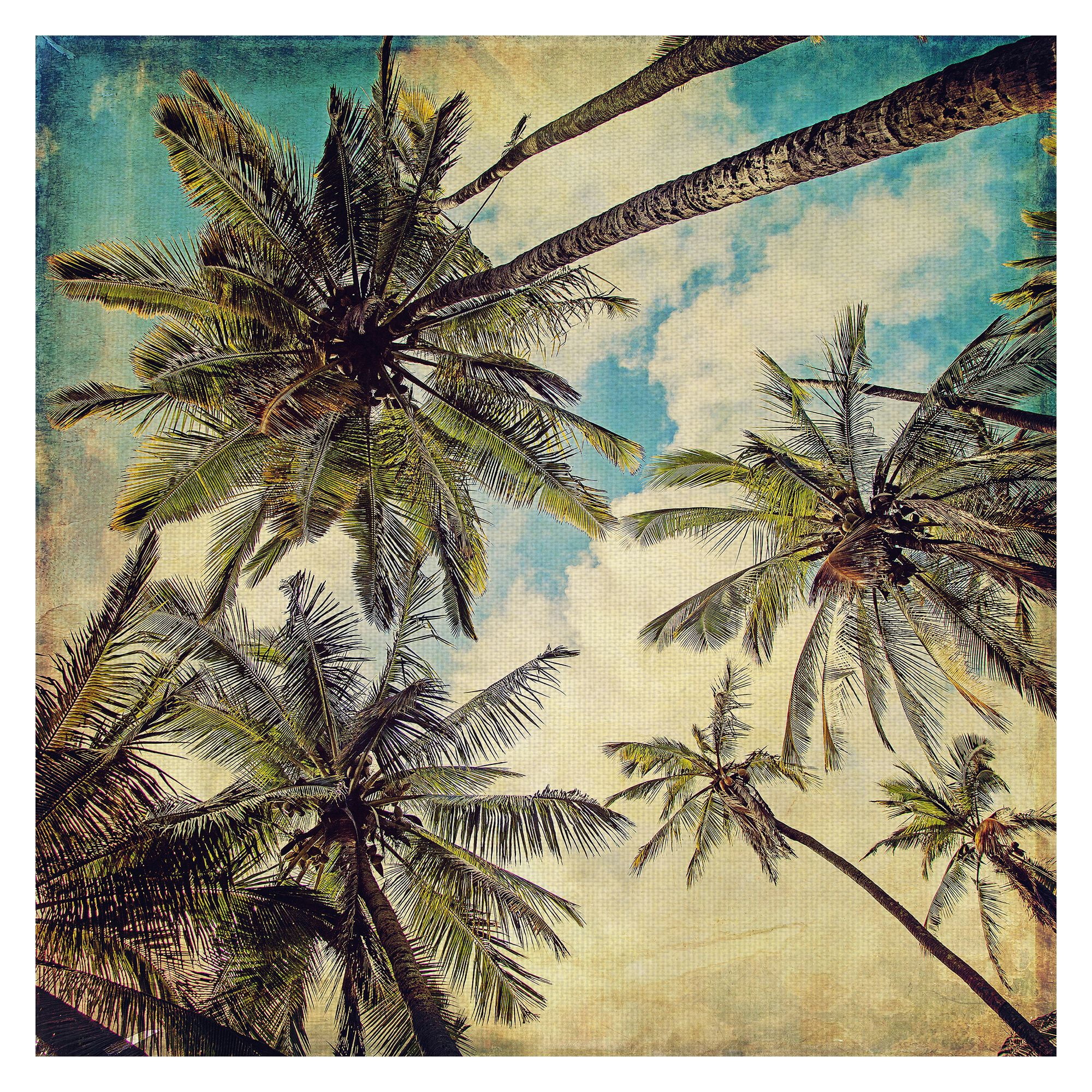 Masterpiece Art Gallery Kauai Island Palm Trees by Michelle Oppenheimer Canvas Photo Art Print 24" x 24"