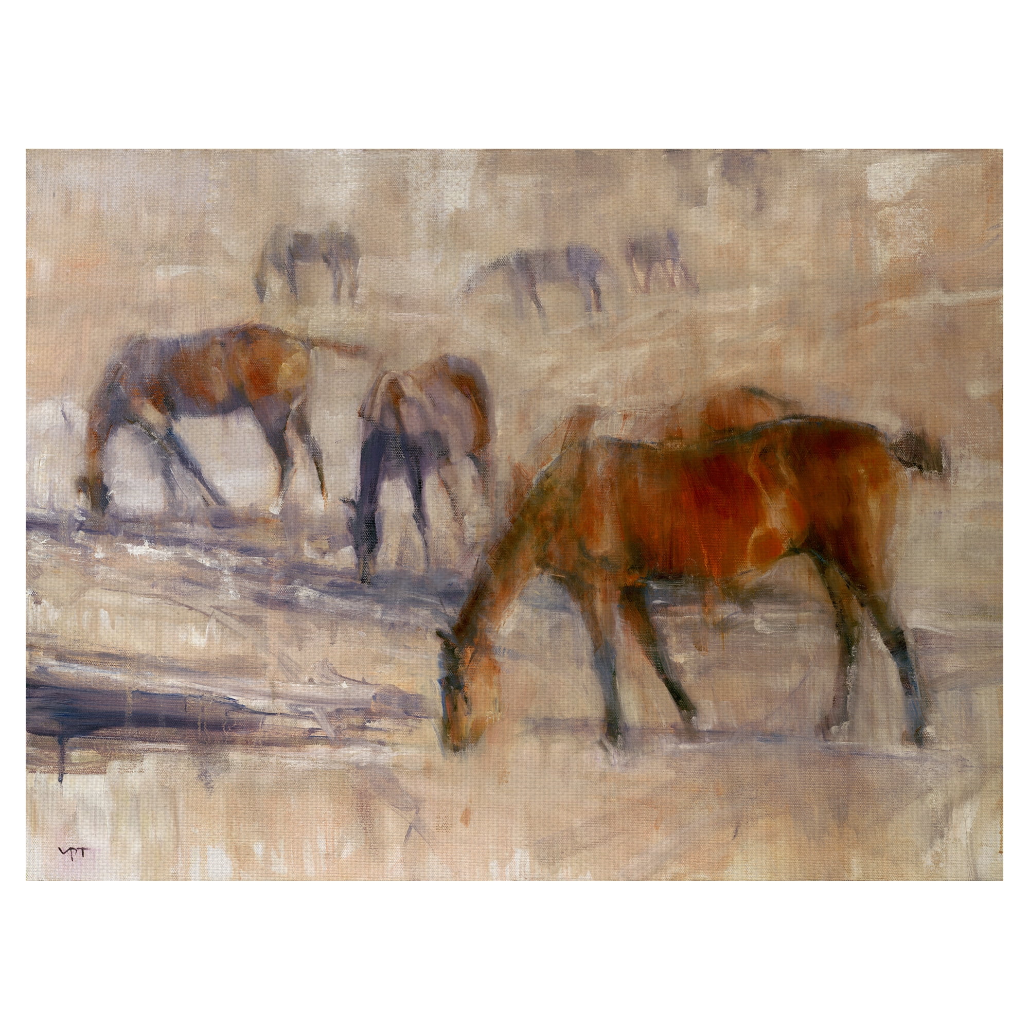 Masterpiece Art Gallery Kentucky Morning Grazing Horses 3 by Valtcho Tonov Canvas Art Print 30" x 40"