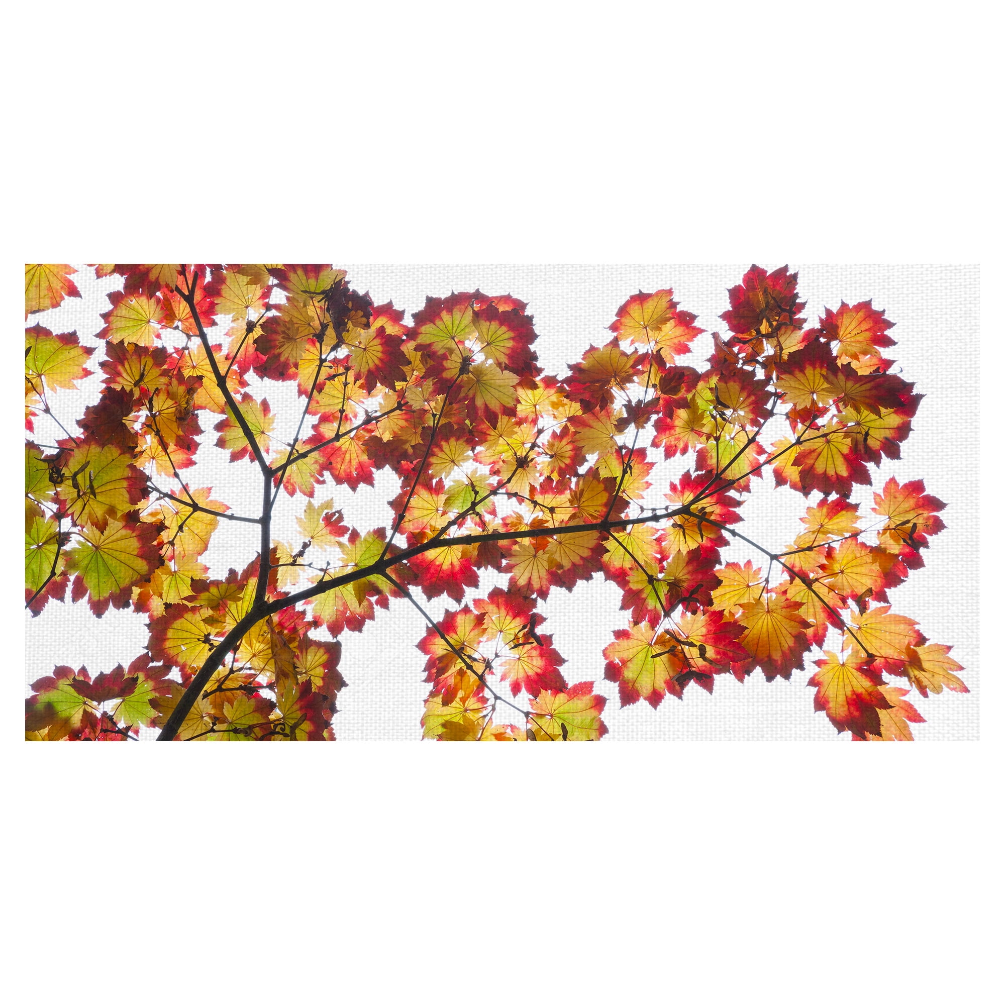 Masterpiece Art Gallery Leaf Silhouettes IV Autumn Tree Branch By Robin Constable Hanson Canvas Art Print 17" x 34"