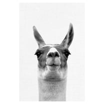 Masterpiece Art Gallery Listening Llama by Belle Maison Canvas Art Print 24" x 36"