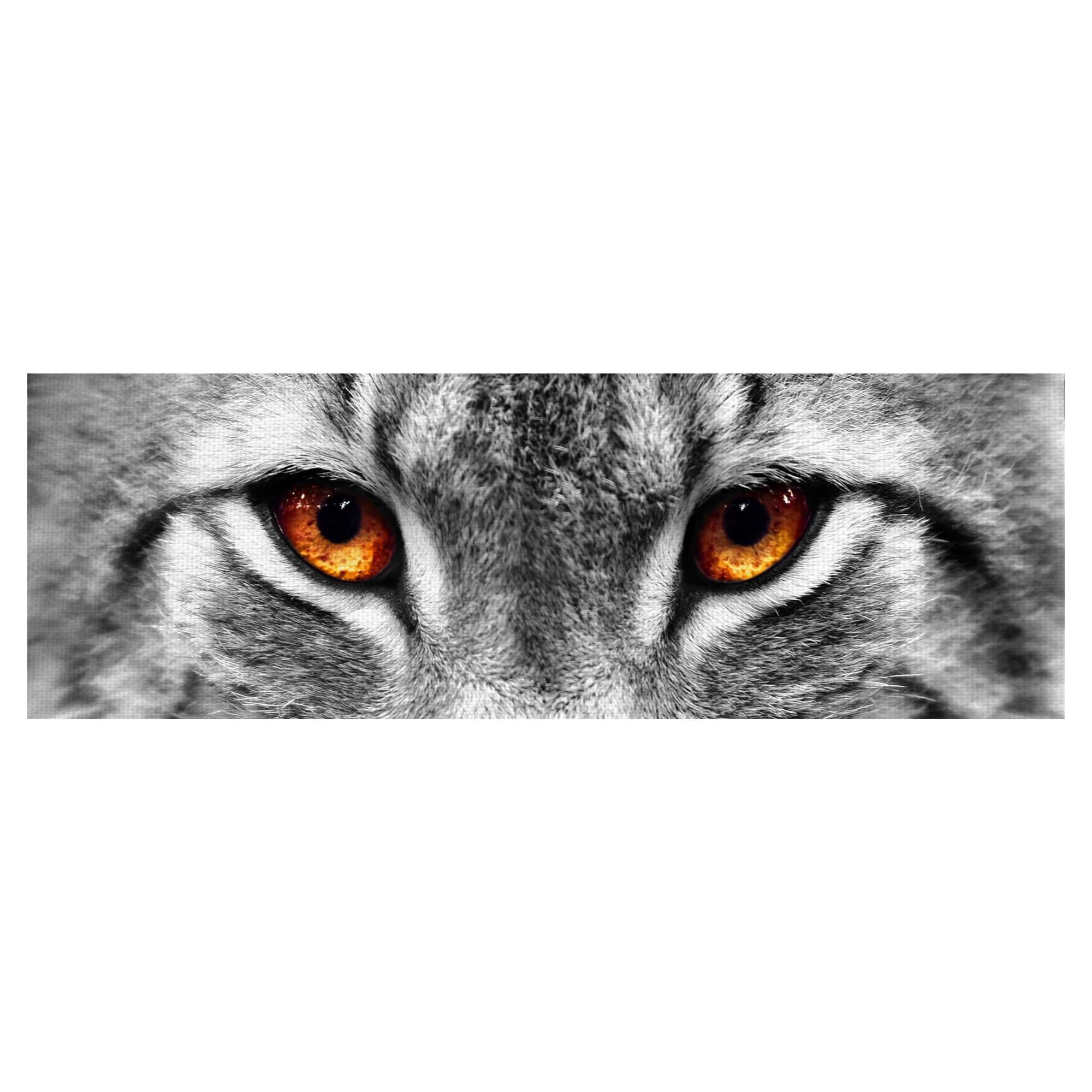 Masterpiece Art Gallery Lynx Eyes by PhotoINC Studio Canvas Photo