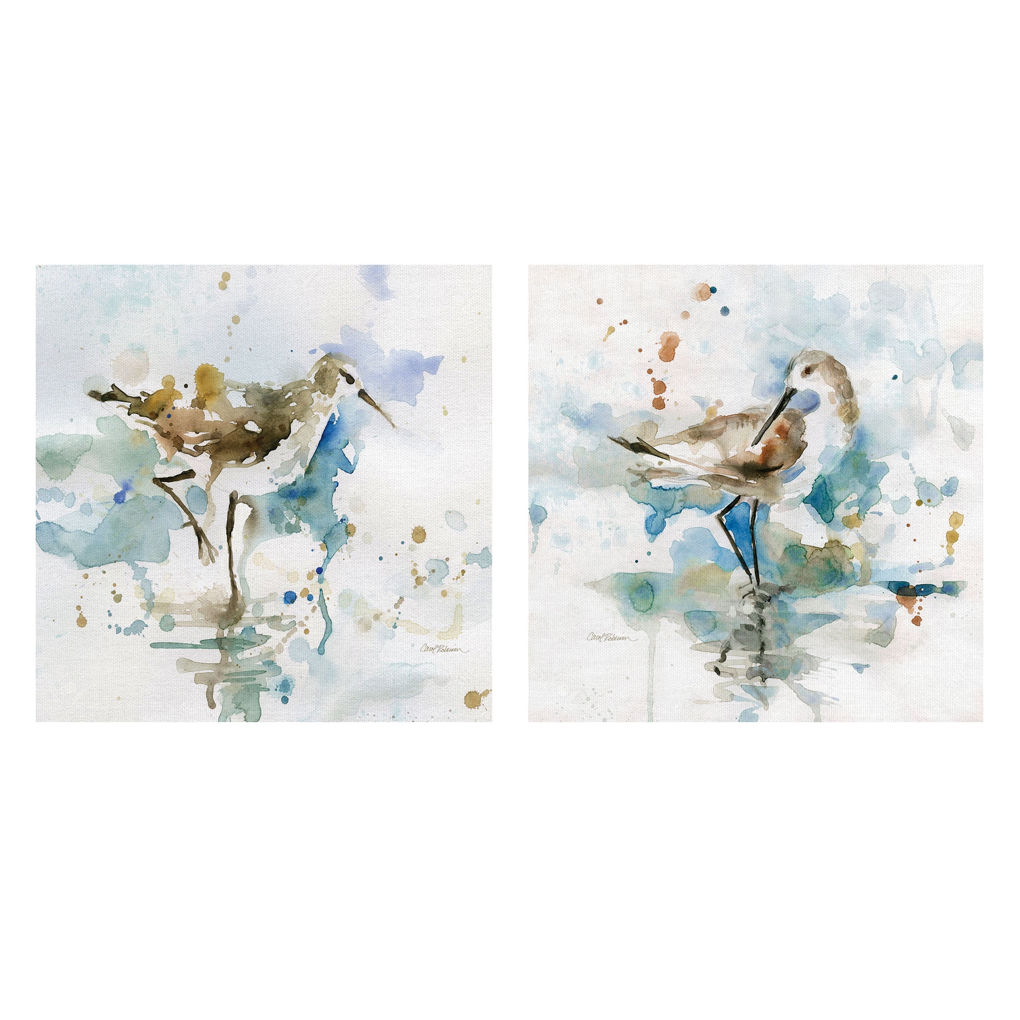 Abstract Blue and Green Watercolor Bird Canvas Art Set for Kids
