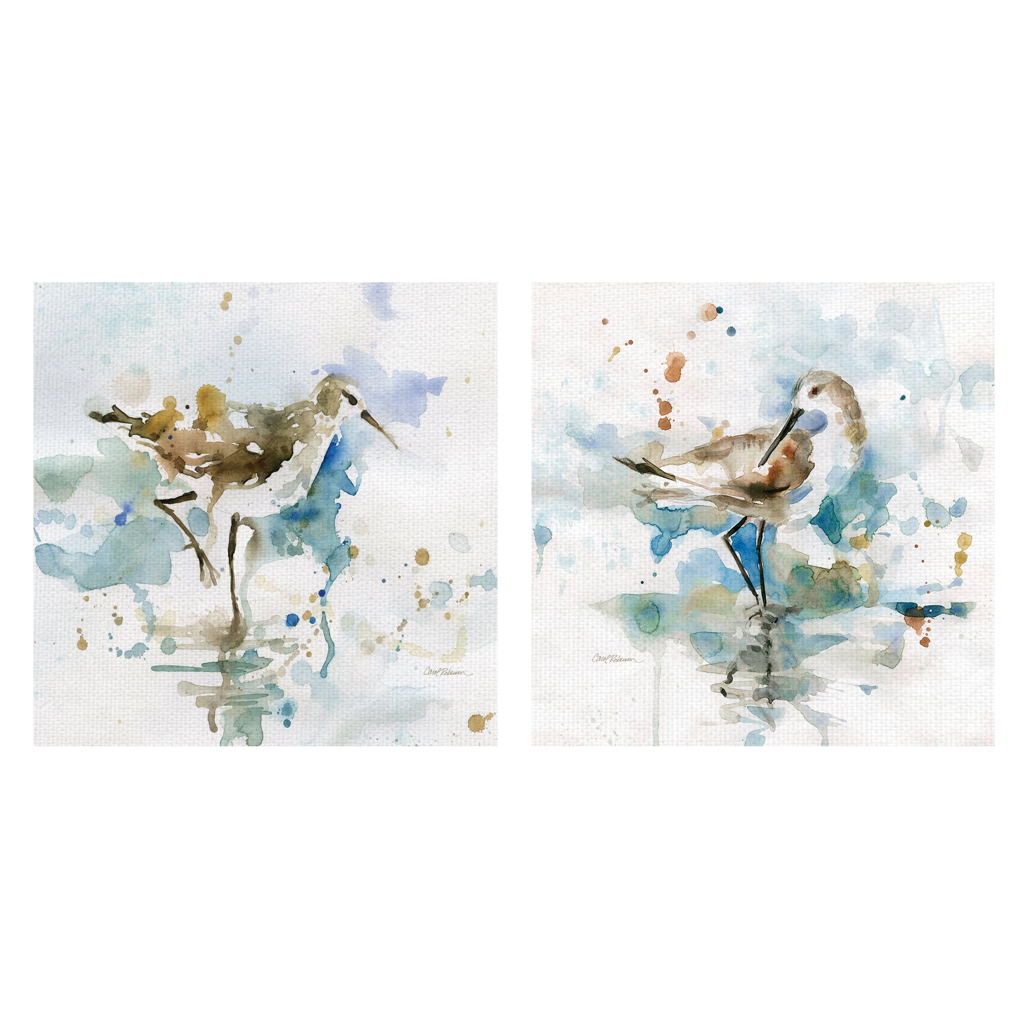 Masterpiece Art Gallery Malibu Sand Piper & Palm Beach Piper by Carol Robinson Canvas Art Set of 2 (16" x 16")